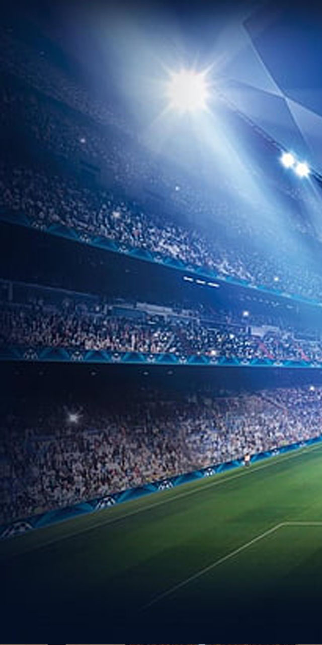 This is an example description for this item.